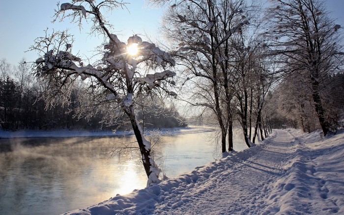 Winter riverbank with snow-covered trees and sunbeams