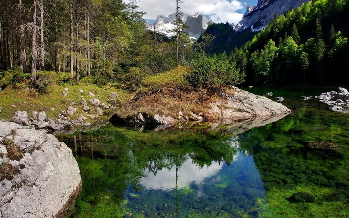 Mountain lake with forest and rocky shore
