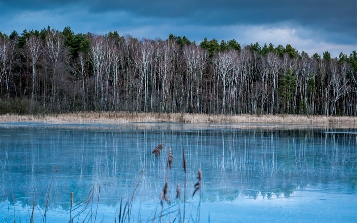 Frozen lake with birch trees and dark clouds