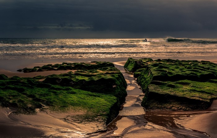 Surfer riding a wave near mossy rocks at sunset