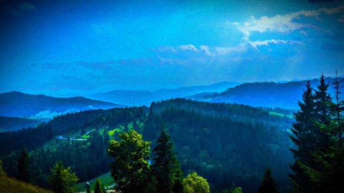Misty mountain range with evergreen forest