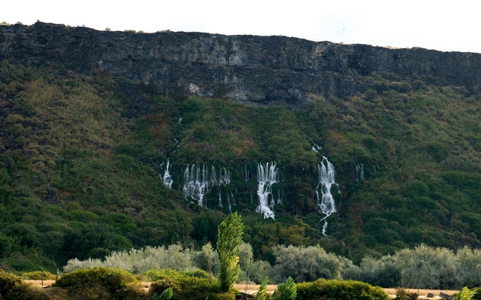 Waterfalls cascading down a rocky, vegetated cliff face