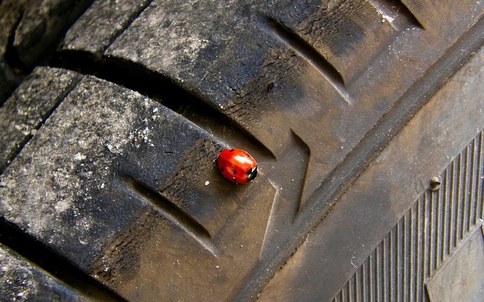 Ladybug on a dirty tire tread