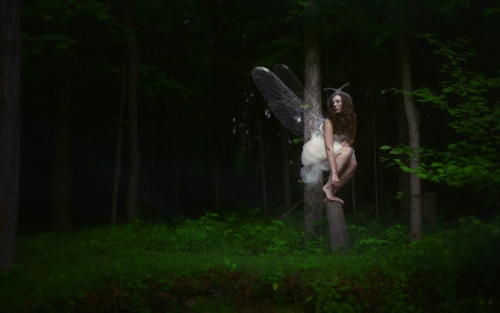 Fairy with wings sitting on a tree stump in a dark forest