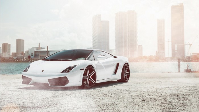 White Lamborghini Gallardo parked by the water with city skyline