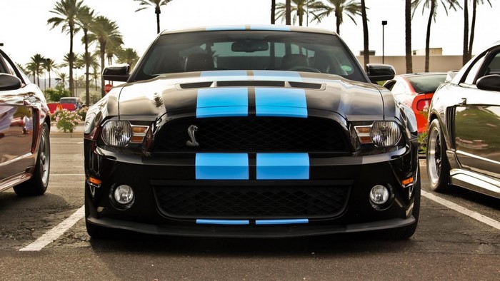 Black Ford Shelby GT500 with blue stripes