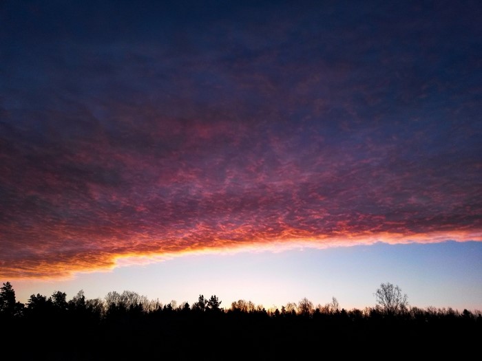 Sunset clouds over a silhouetted forest