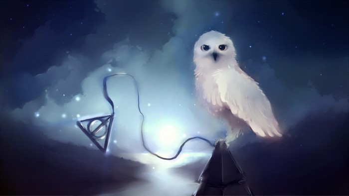 Hedwig the Owl in Harry Potter and the Deathly Hallows Night Scene