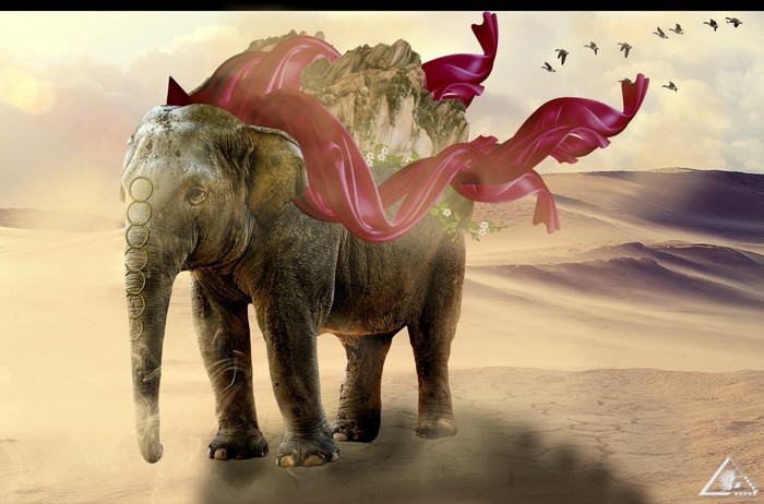 Elephant with mountain and fabric in desert
