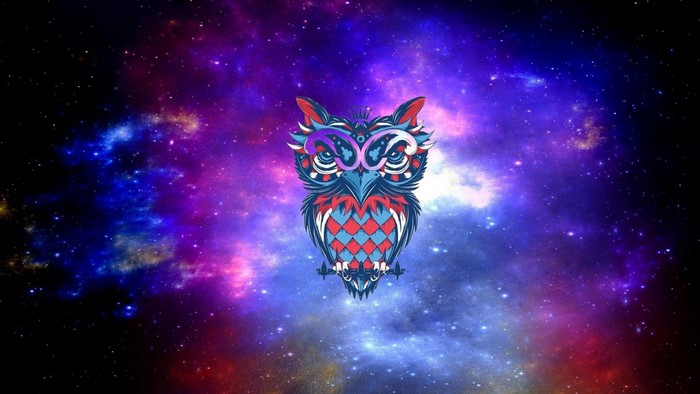 Stylized owl illustration on a galaxy background