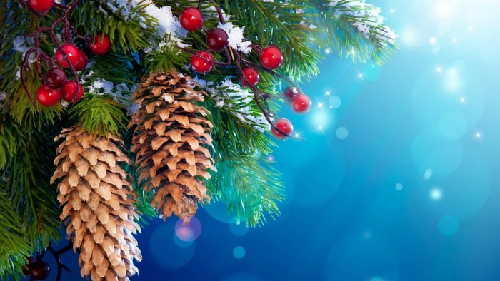 Christmas tree branches with pine cones and berries