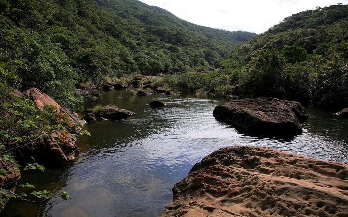 River flowing through a forested valley with rocks