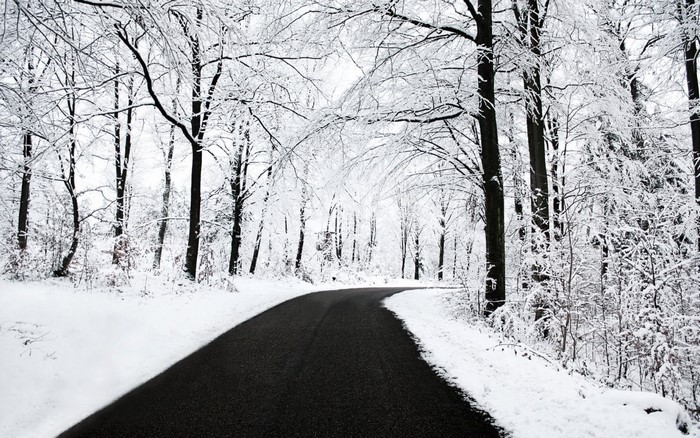 A winding road through a snow-covered forest in winter