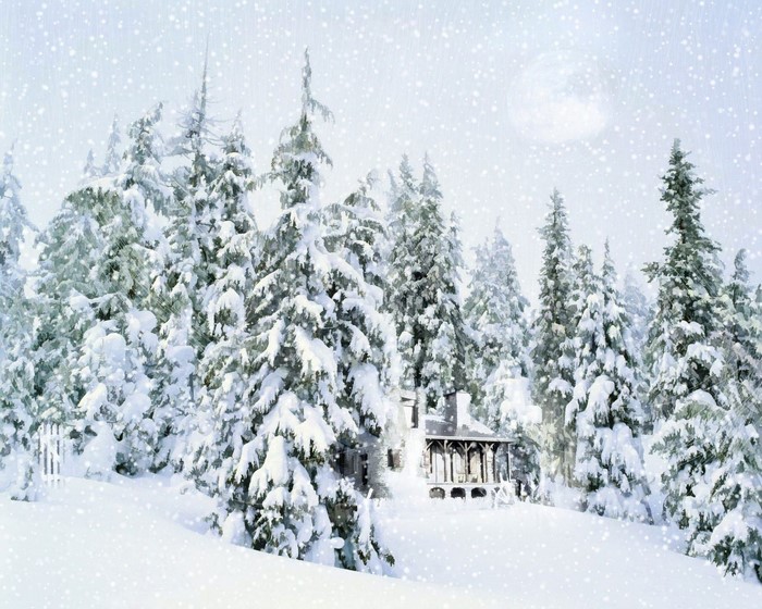 Snowy forest with a cabin and a fence