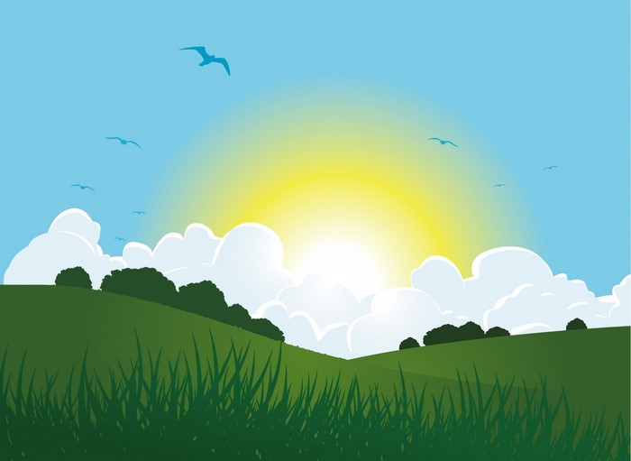 Sunrise over green hills with birds flying