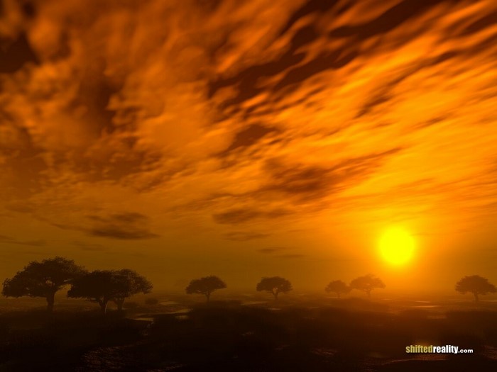 Sunset over African savanna with acacia trees