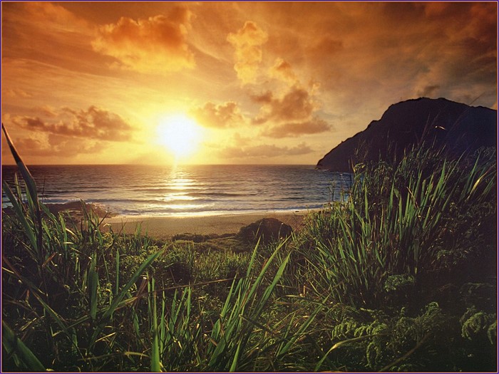 Sunset over the ocean with a mountain and grass