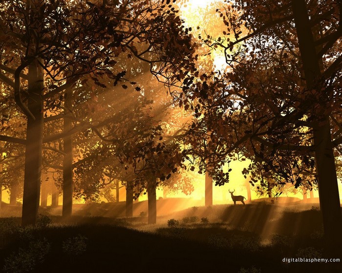 Deer in a sunlit autumn forest at dawn