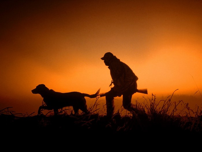 Hunter and dog silhouetted against sunset