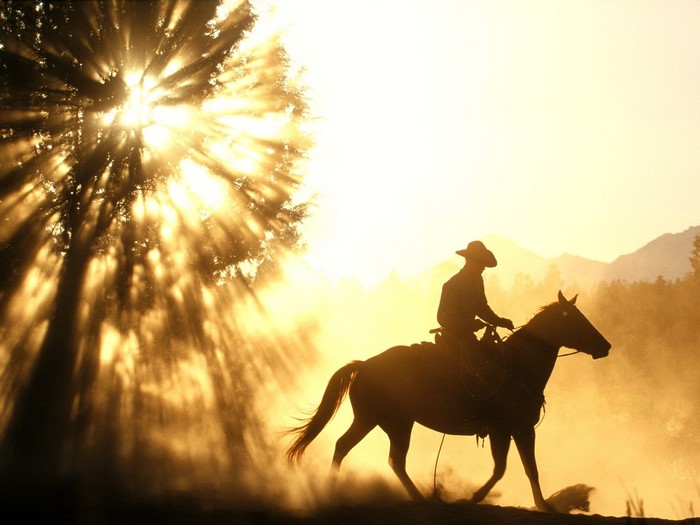 Cowboy riding a horse at sunset with sun rays