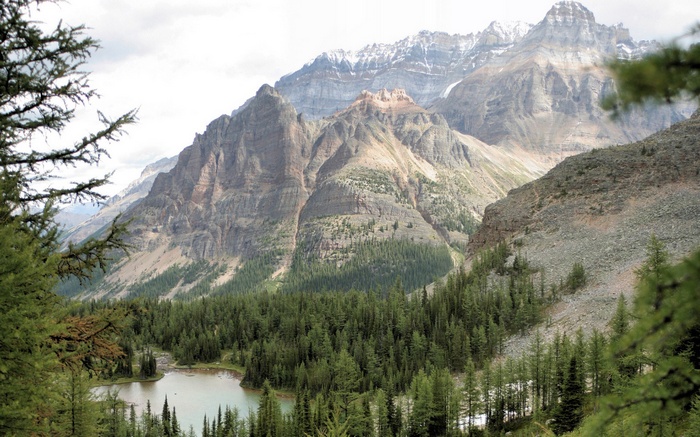 Mountain range with a lake and forest