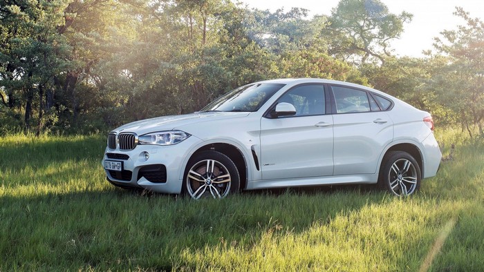 White BMW X6 parked in a grassy field with trees