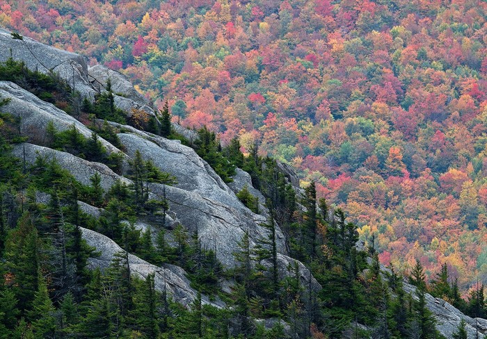 Rocky mountainside with autumn forest in the background