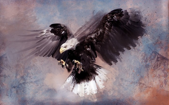 Bald eagle in flight with abstract background