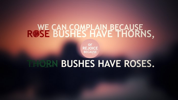 Quote about rose bushes and thorn bushes