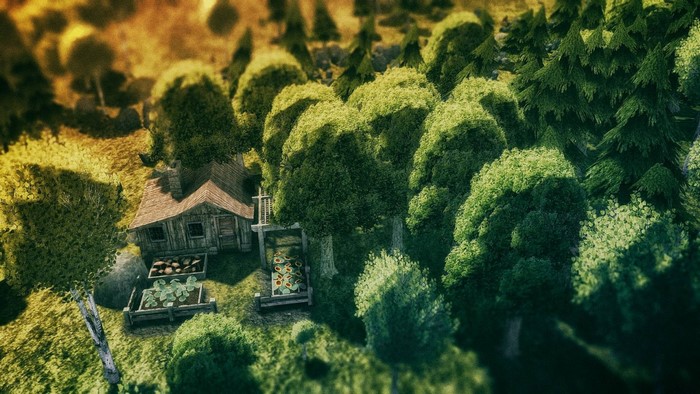 A rustic cabin in a sun-dappled forest with gardens