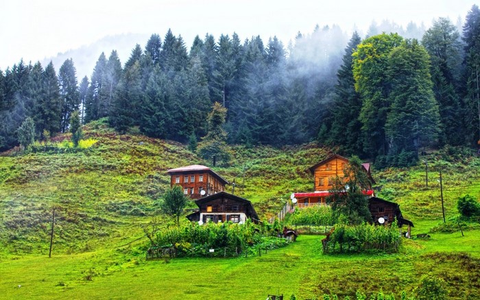 Wooden houses in a green mountain valley with a forest