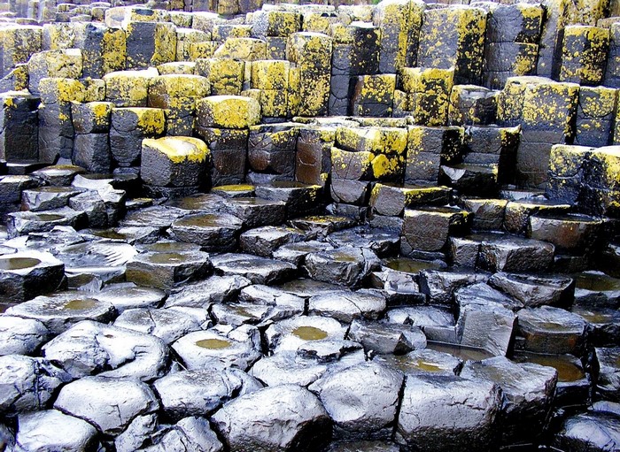 Giants Causeway rock formation with yellow lichen