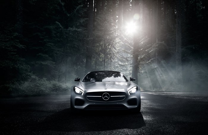 Silver Mercedes-Benz sports car in a foggy forest