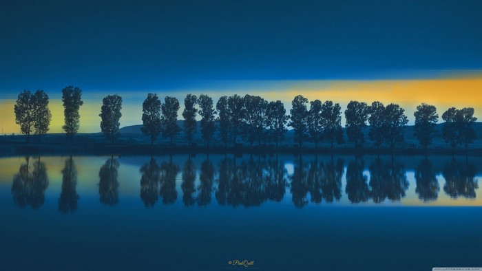 Trees reflected in a lake at dusk