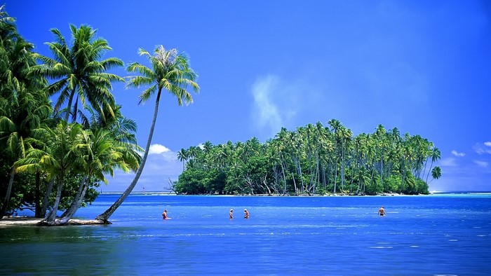 Tropical Island with Palm Trees and Clear Blue Waters