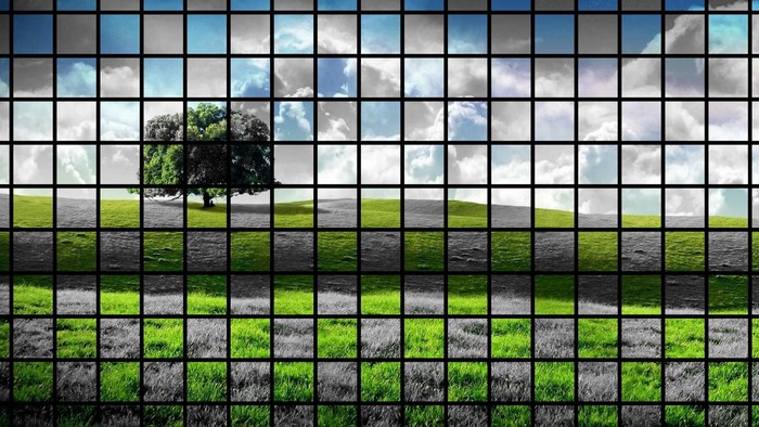 Grid of nature landscape with tree and sky