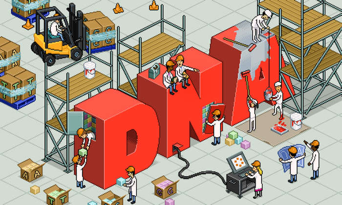 Workers painting and constructing large red DNA letters