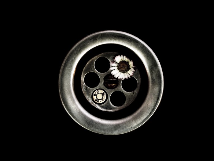 Daisy and bullet casing in a sink drain