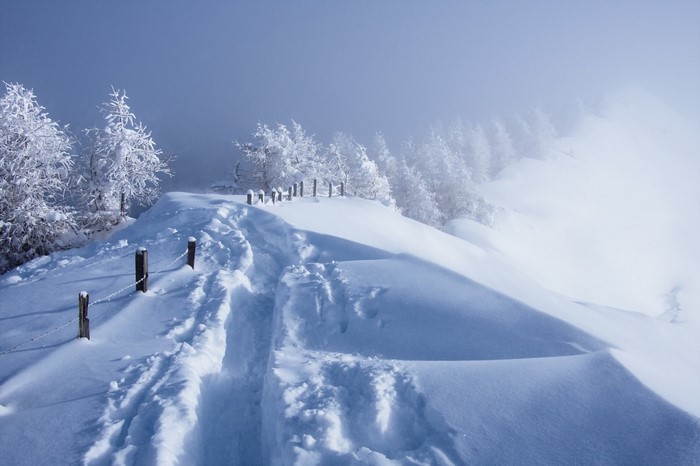 Snowy mountain path with frosted trees and fog