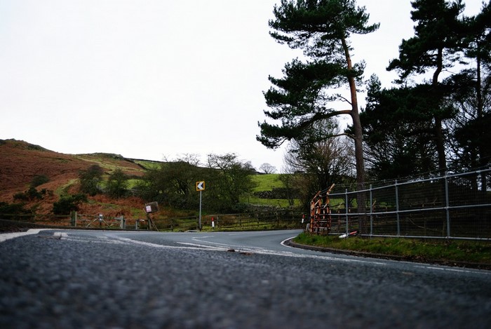 Road curving through hilly landscape with trees and fence