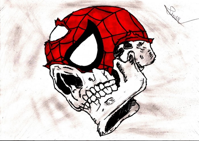 Spider-Man skull illustration