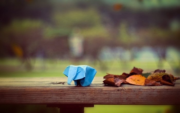 Origami elephant and autumn leaves on a wooden table