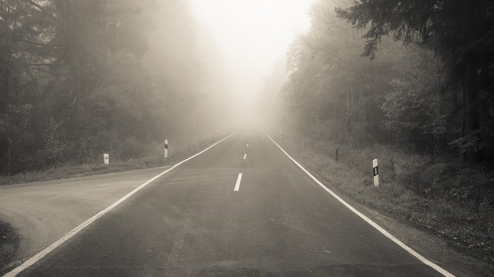 Road disappearing into thick fog