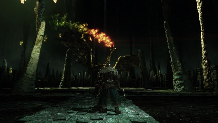 Dark Souls II Dragon fight with player
