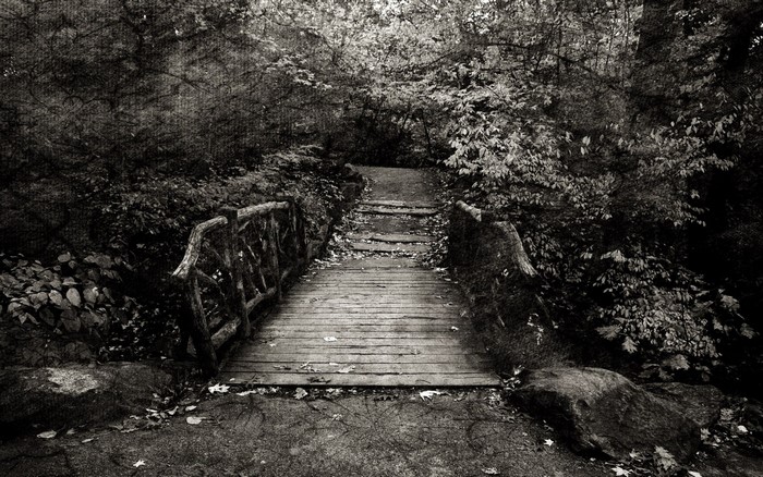 Wooden bridge in a dark forest