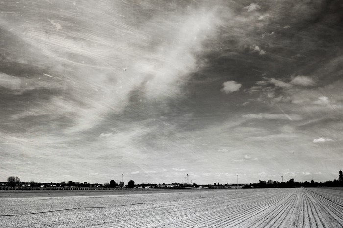 Tilled field under a cloudy sky