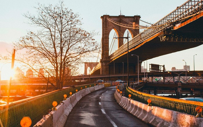 Brooklyn Bridge at sunset with a bare tree and road