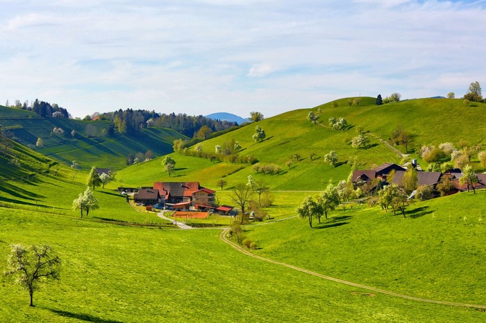 Lush Green Hills and Scenic Valley Landscape