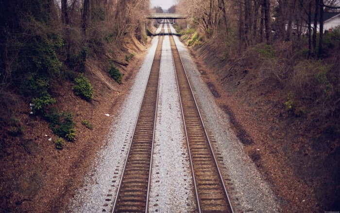 Train tracks passing through a wooded area with a bridge overhead