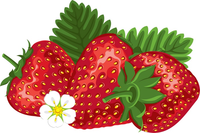 Three ripe strawberries with leaves and a flower